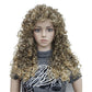 African Wigs With Small Curly Hair Women