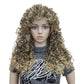 African Wigs With Small Curly Hair Women